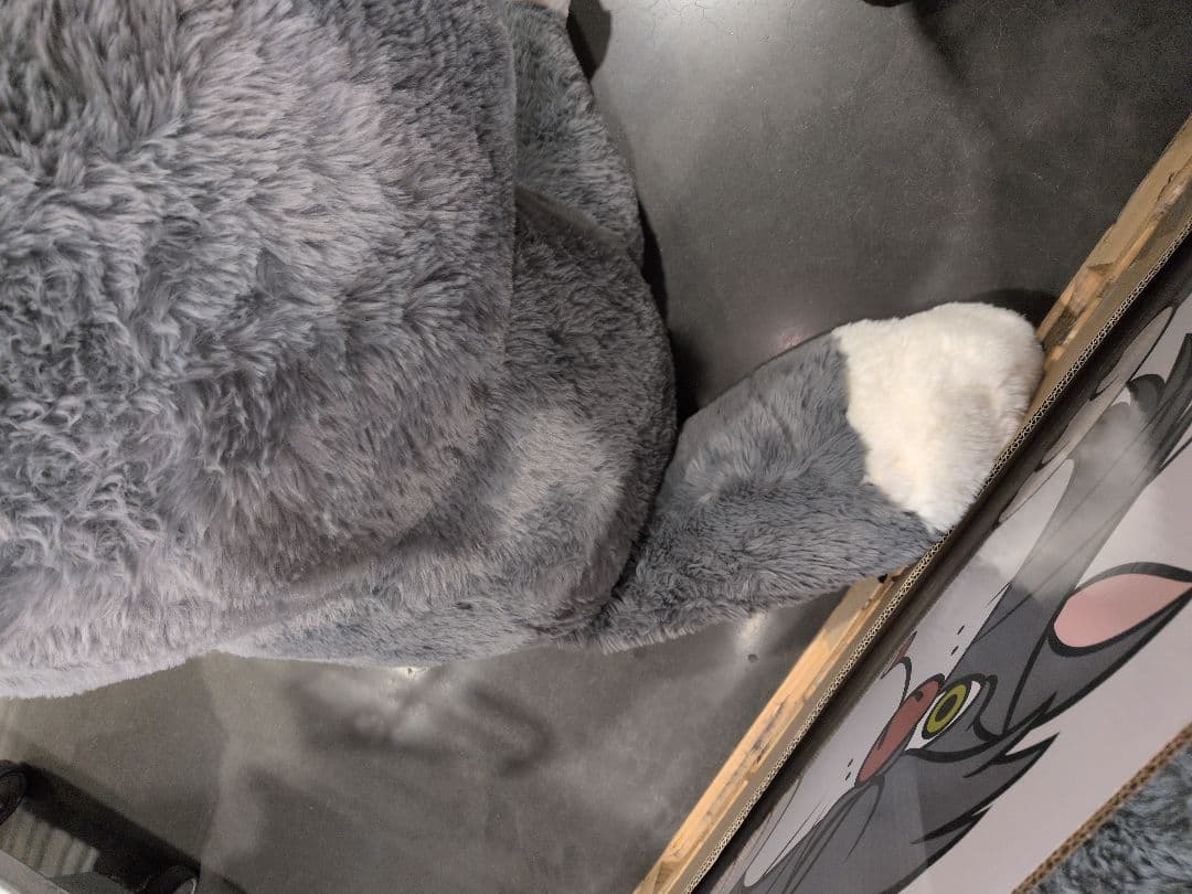 コストコディズニールシファー ぬいぐるみ 猫 ねこ