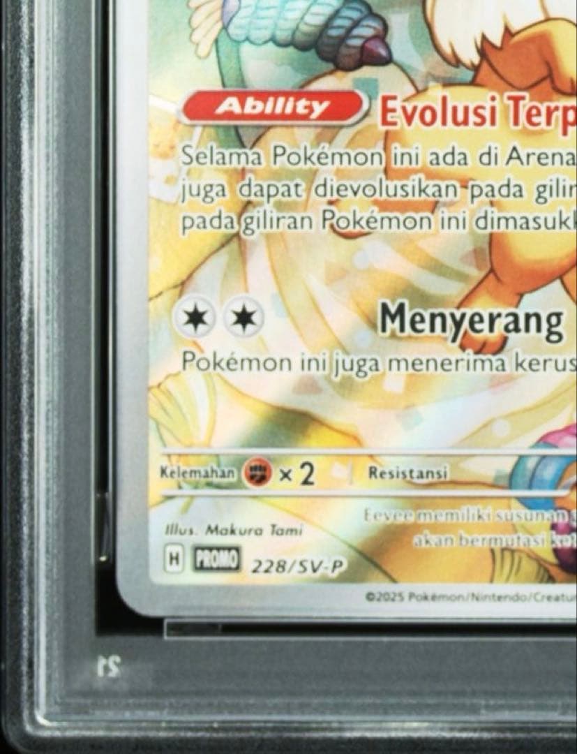 【インドネシア版】イーブイプロモ　インドネシア