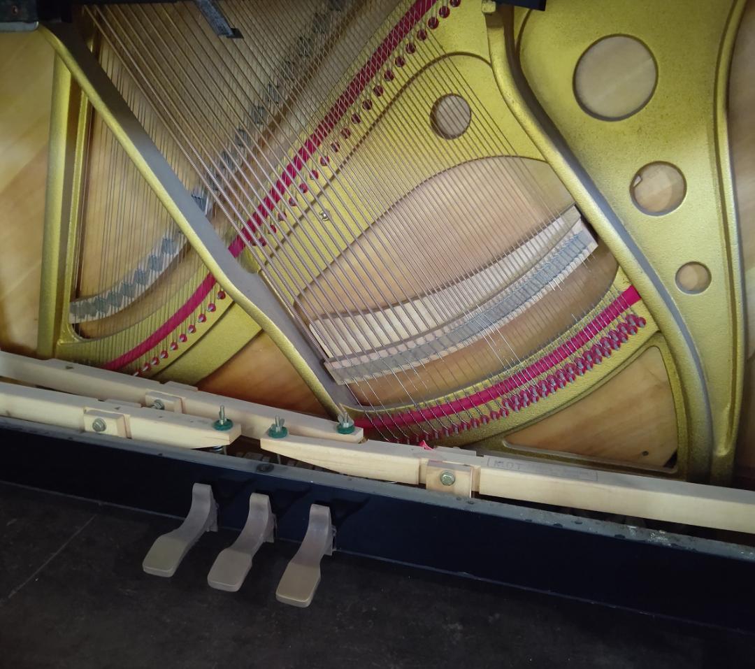 SR-85B　SSS内蔵【グランドに最も近いアップライト/現状渡し】APOLLO