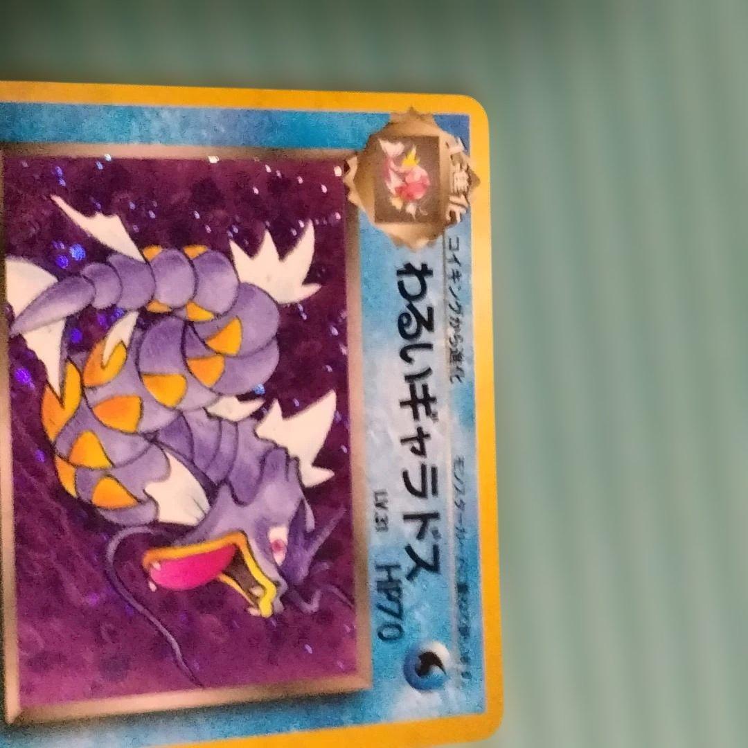 【旧裏】水タイプ カメックス/オーダイル/ギャラドス3種 キラ5枚含む約50枚