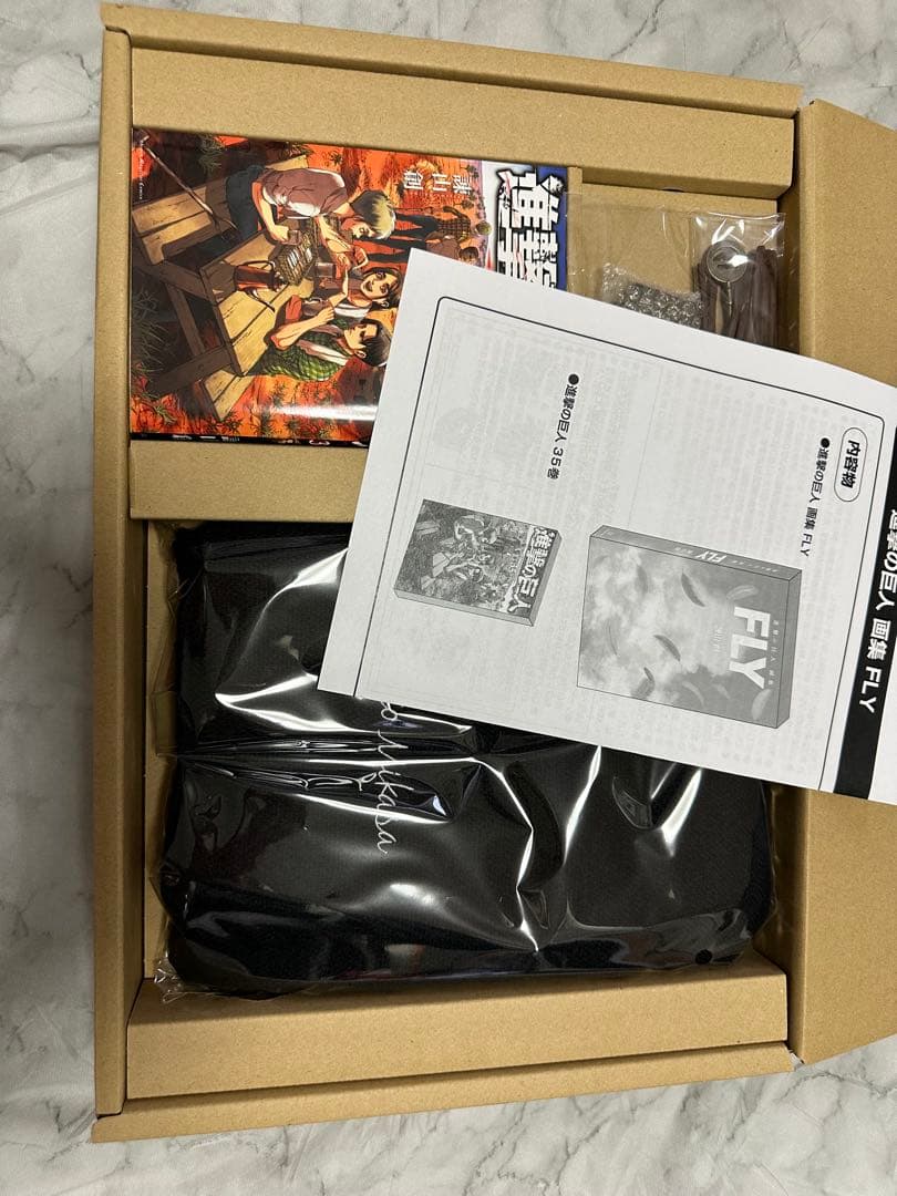 進撃の巨人画集 FLY 35巻あり