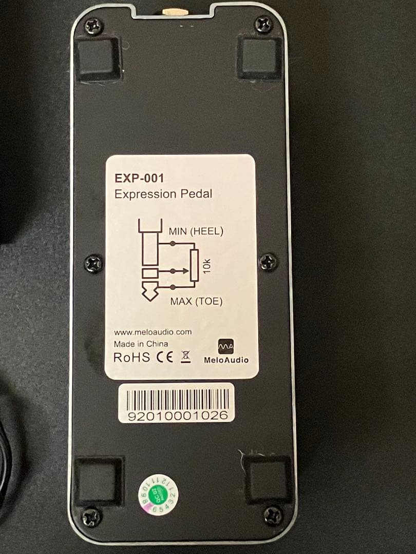 strymon timeline + EXPペダル