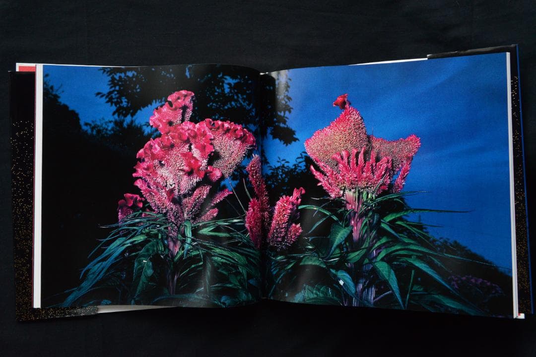 【花狩】山村雅昭写真集　1998年