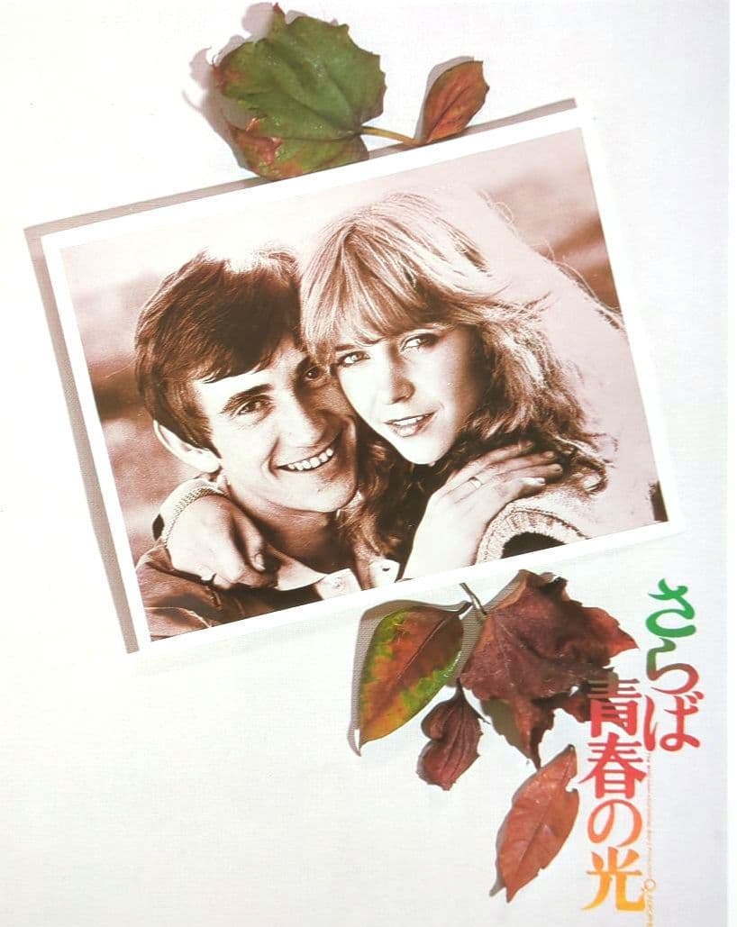 映画『さらば青春の光』＜パンフレット・オリジナルポスター付き 1979年公開＞