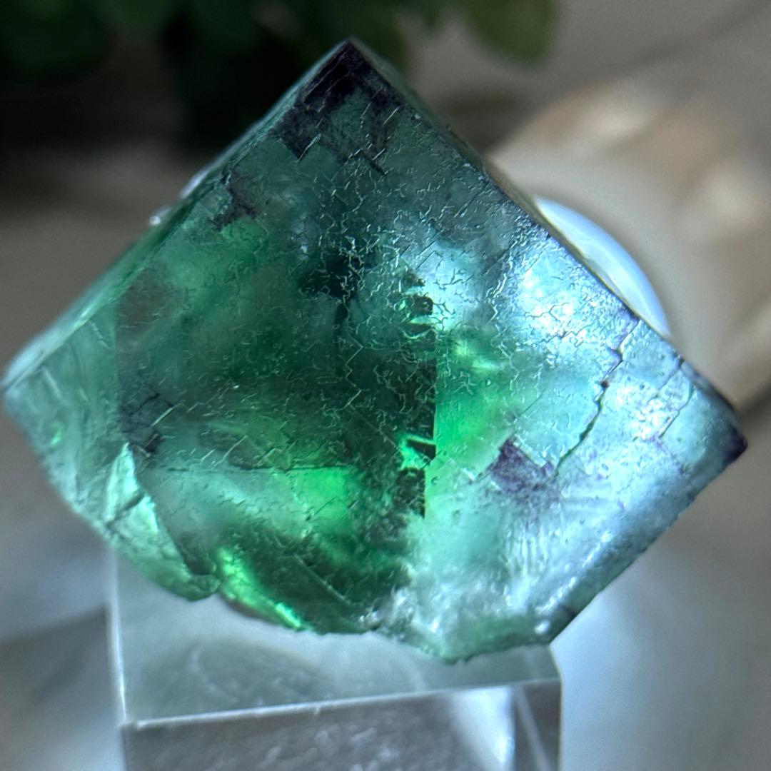 【D288】大きな結晶とゾーニング・.。*・ グリーンフローライト ナミビア