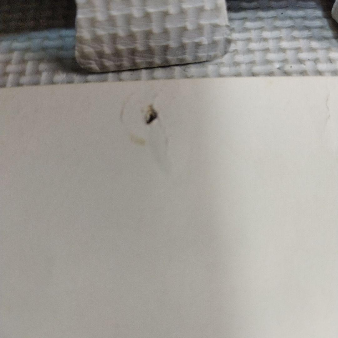 資生堂 　セリア・キャロン　特大ポスター この夏　その気