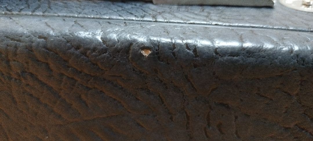 EGO Guitar EGO Bass Mine 6 (ヘッドレス 6弦ベース)