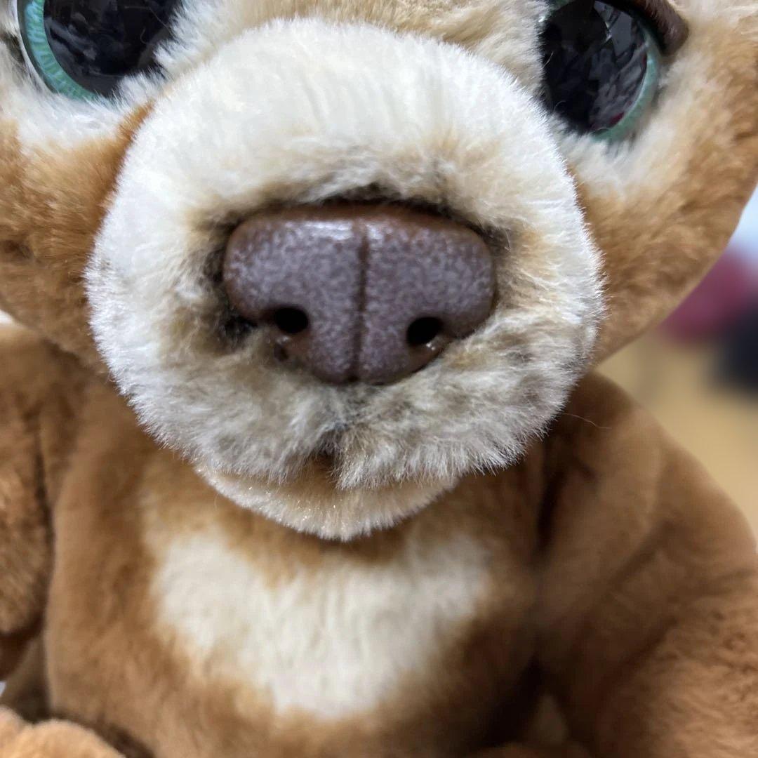 【廃盤品】レア ファーリアル 遊ぶのだいすき こぐまのカビー 動作確認済