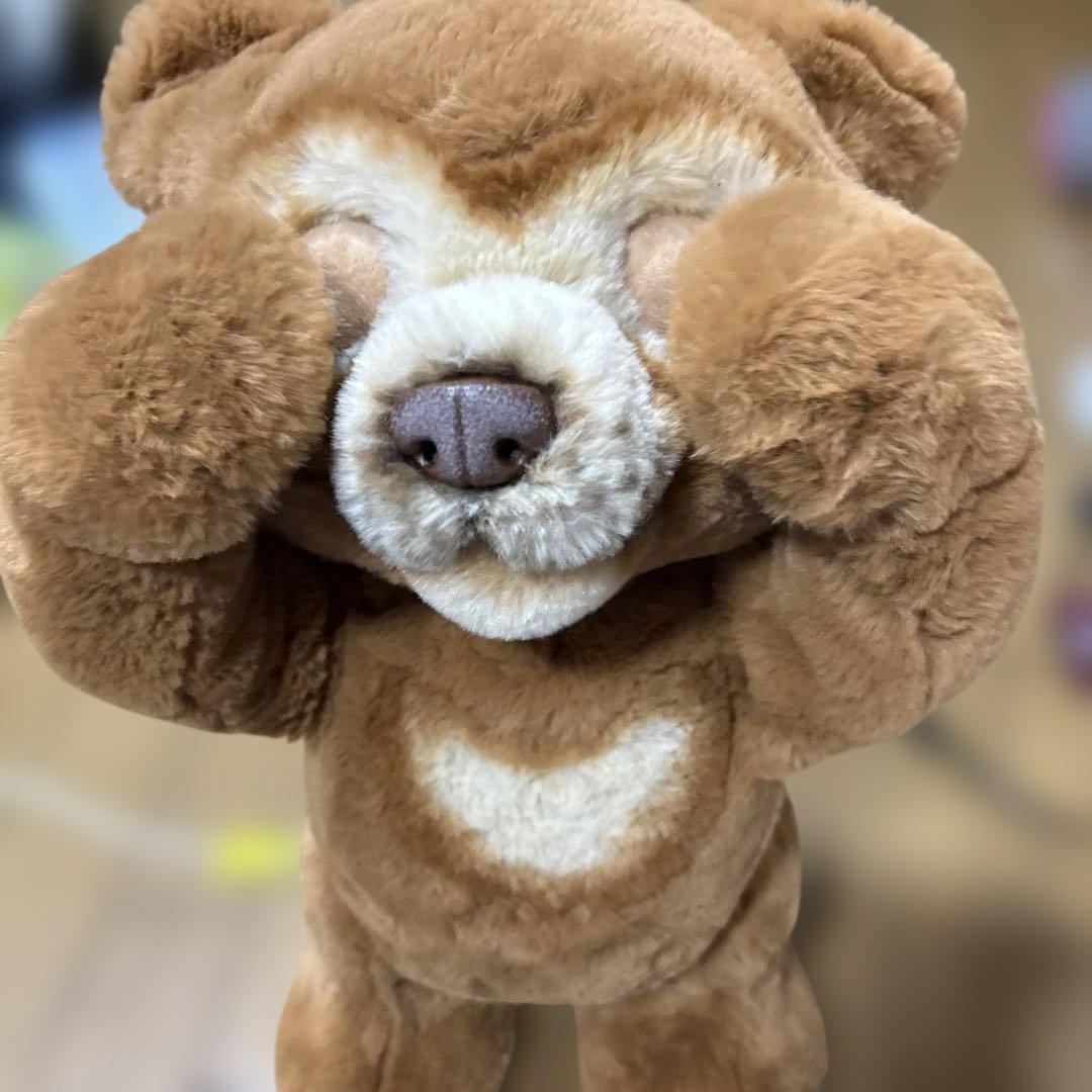 【廃盤品】レア ファーリアル 遊ぶのだいすき こぐまのカビー 動作確認済