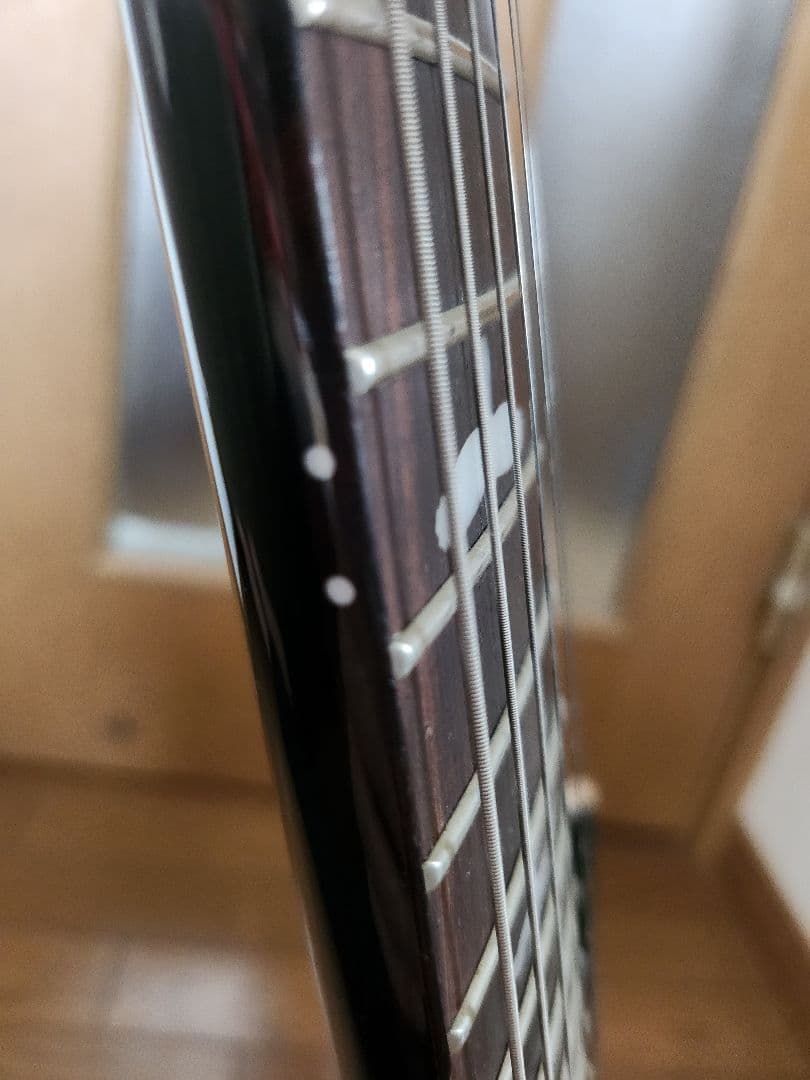 ギター PRS Custom SE 24