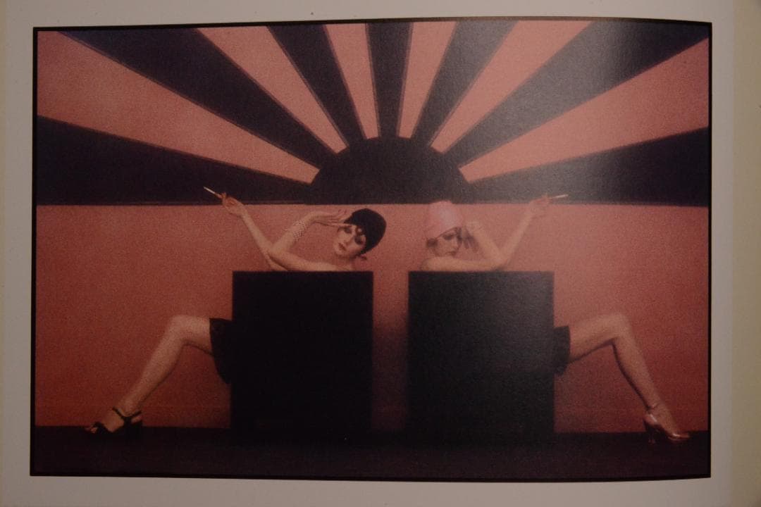 Souvenirs Improbables /Sarah Moon ★値下げした