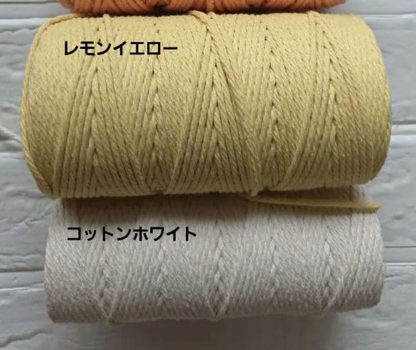 ・A.M・　ウロコちゃん用