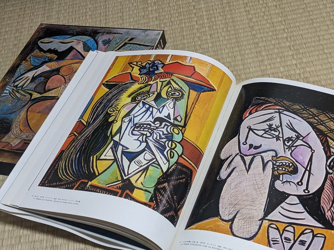 現代世界美術全集 初版 全25巻②