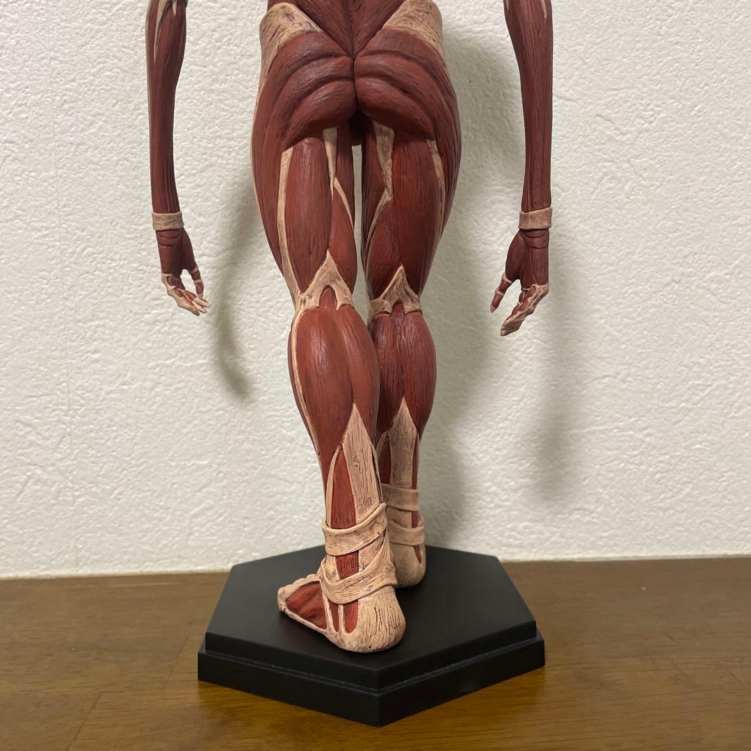 POP UP PARADE 進撃の巨人 アルミン 超大型巨人Ver. フィギュア