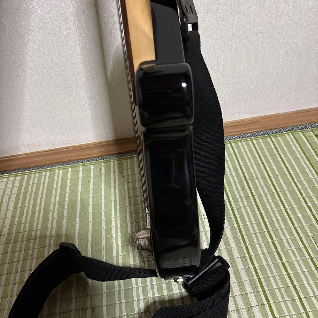 美品　Pignose ピグノーズ アンプ内蔵 ミニ エレキギター　ソフトケース付