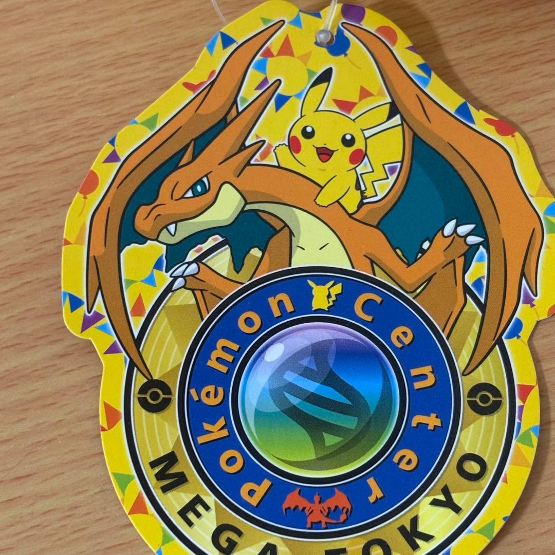 ポケモンセンター メガトウキョー限定 リザードンポンチョ ピカチュウ ぬいぐるみ