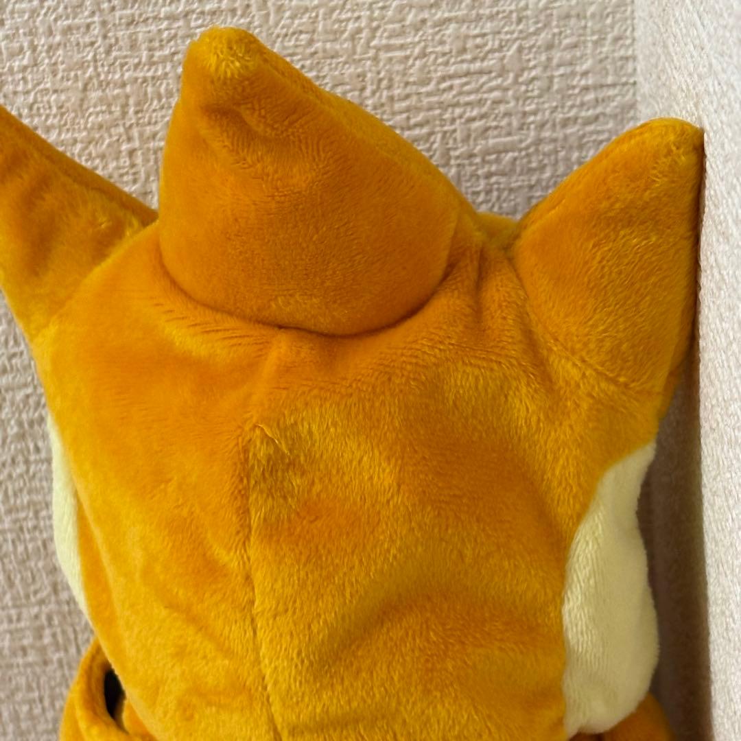 ポケモンセンター メガトウキョー限定 リザードンポンチョ ピカチュウ ぬいぐるみ