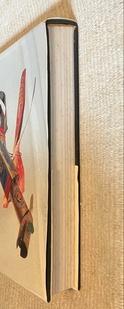 希少 カルダー CALDER INTIME 洋書 フランス語 インタイム 本