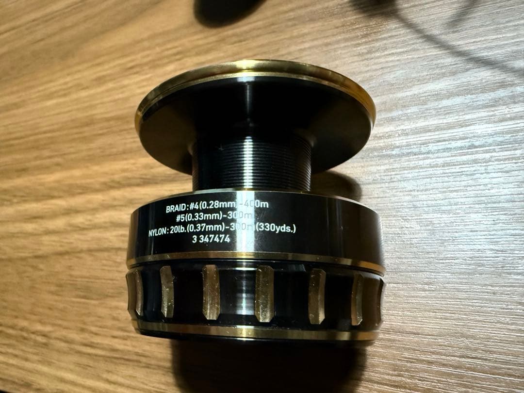 ダイワ 23BG SW 10000-H