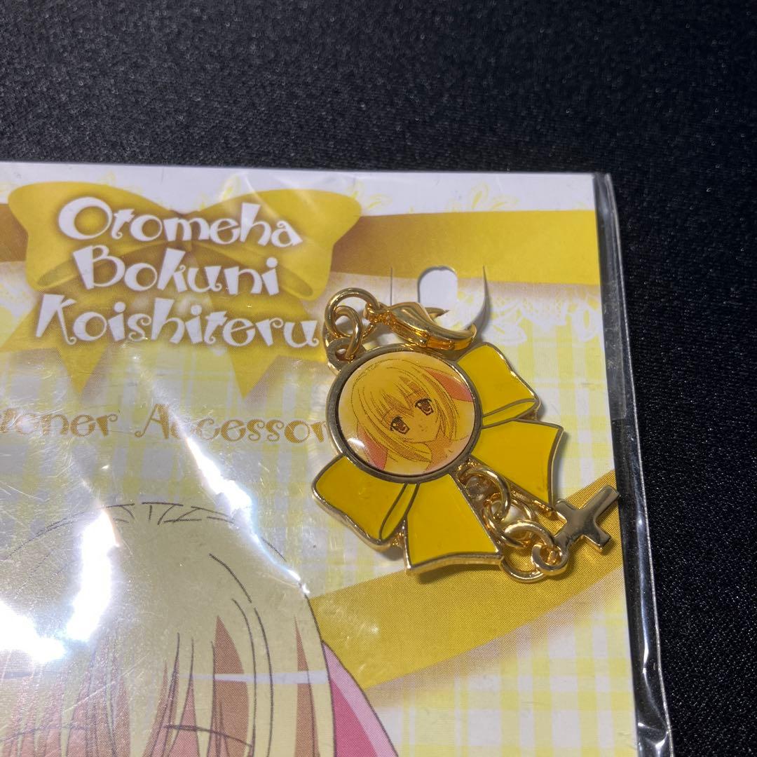 ファスナーアクセサリー　4種類セット　未開封品 「乙女はお姉さまに恋してる」