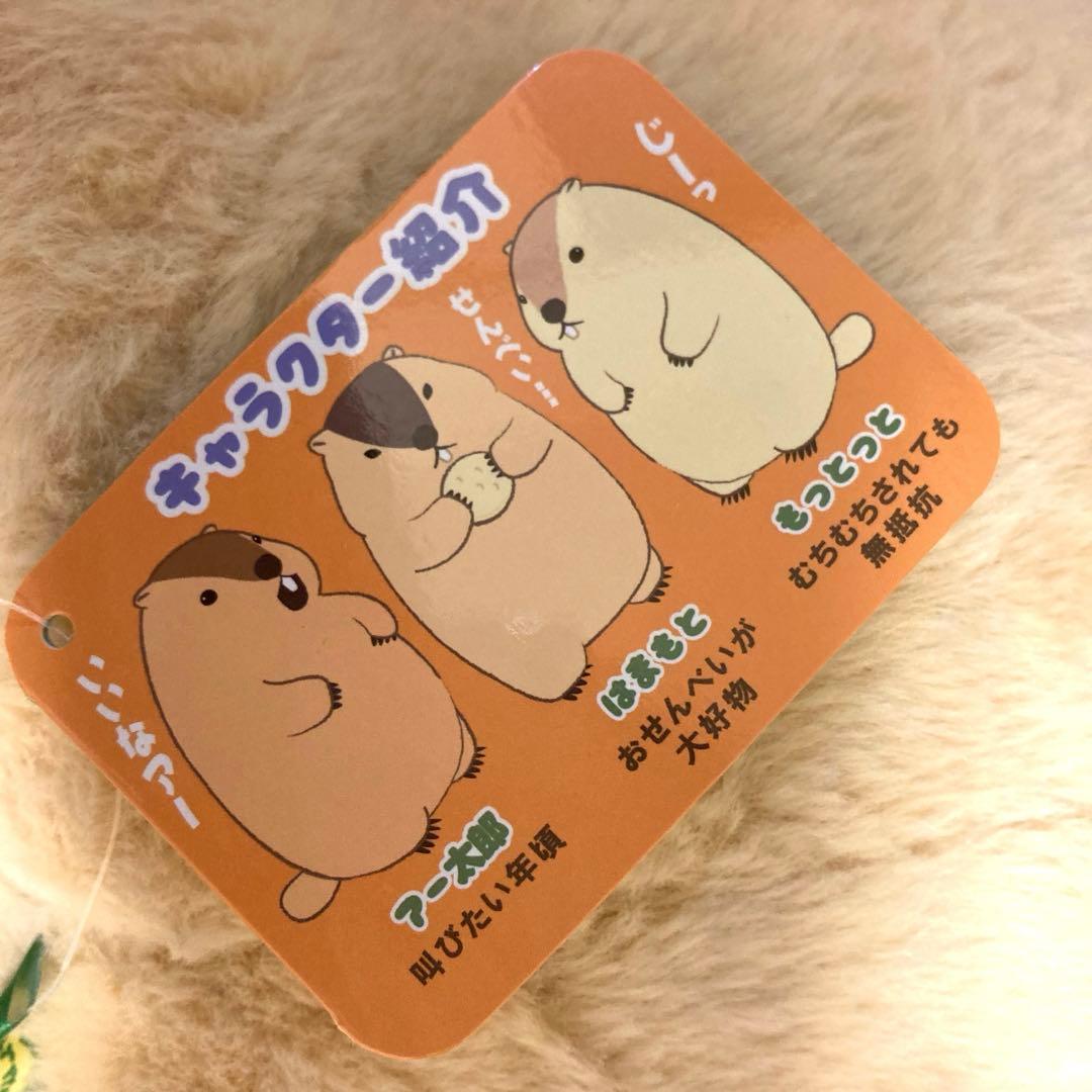 マーモットのもっとっと ウルトラBIGぬいぐるみ　BIG ぬいぐるみ　タグ付き