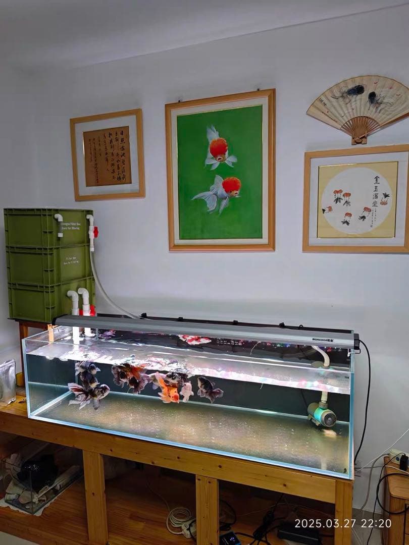 大型水槽用沈殿物理生物一体型　最強濾過槽　外部式濾過装置器　バイオフィルター付き