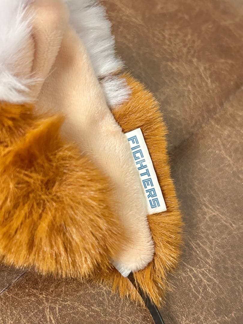 【1回のみ使用】ファイターズ 応援セット！【1月中限り定価15%off】