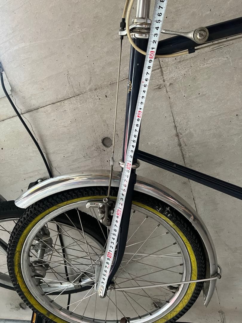 ヒカル　　　ロイヤルノートン