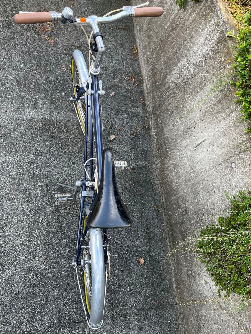 ヒカル　　　ロイヤルノートン