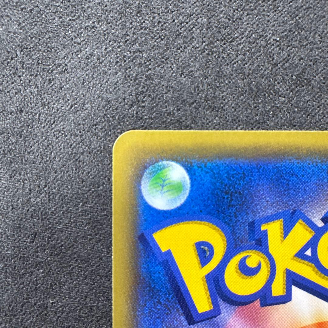 エリカのおもてなし　SR