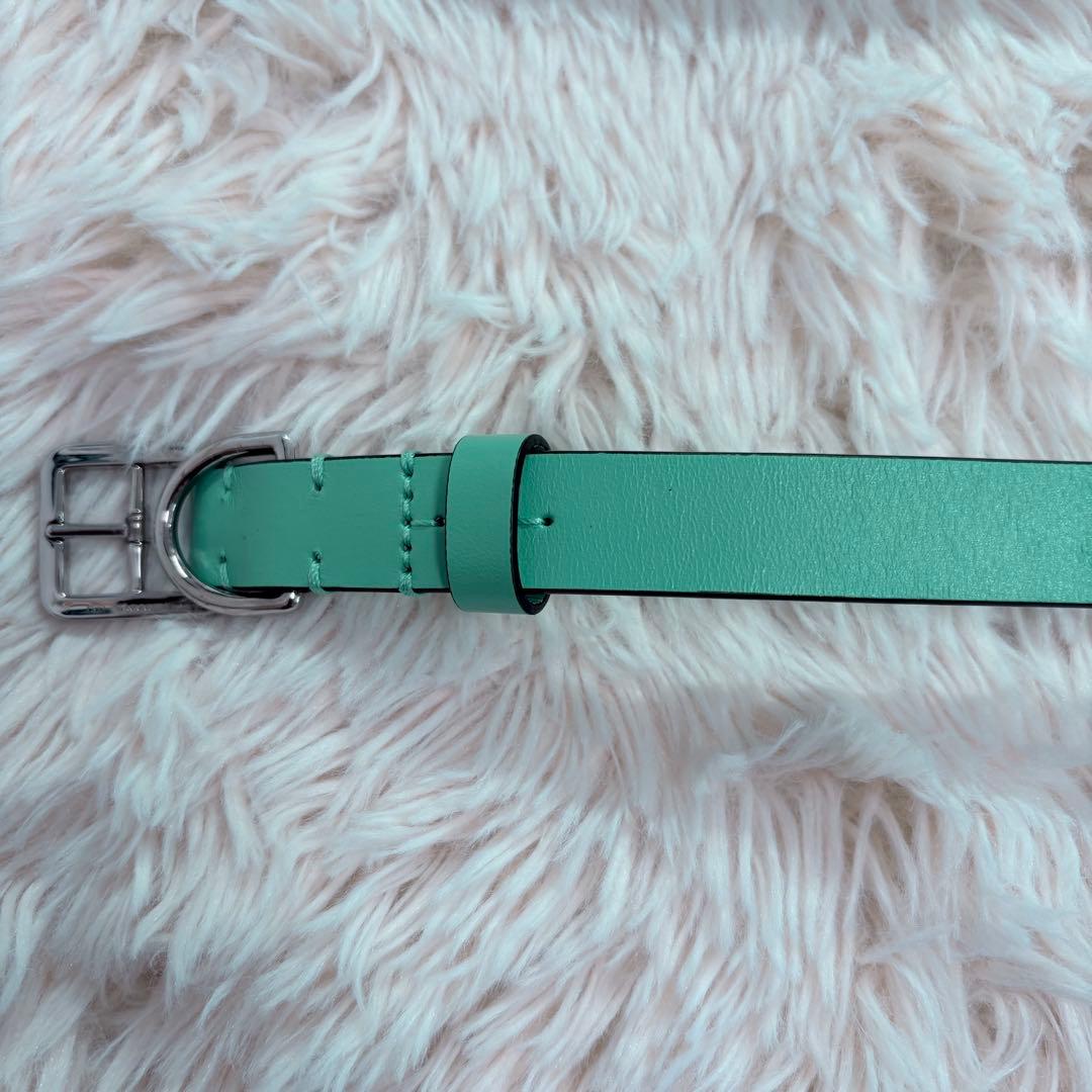 未使用級✨Tiffany レザー首輪 M プレート 金具 4段調整