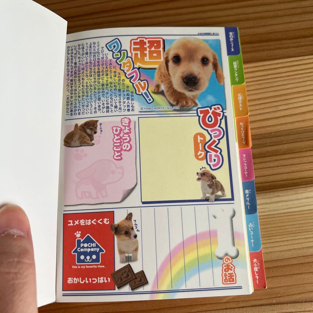 わんころ学校 実写 いぬ 4冊セット メモ メモ帳 レトロ 懐かしい ファンシー