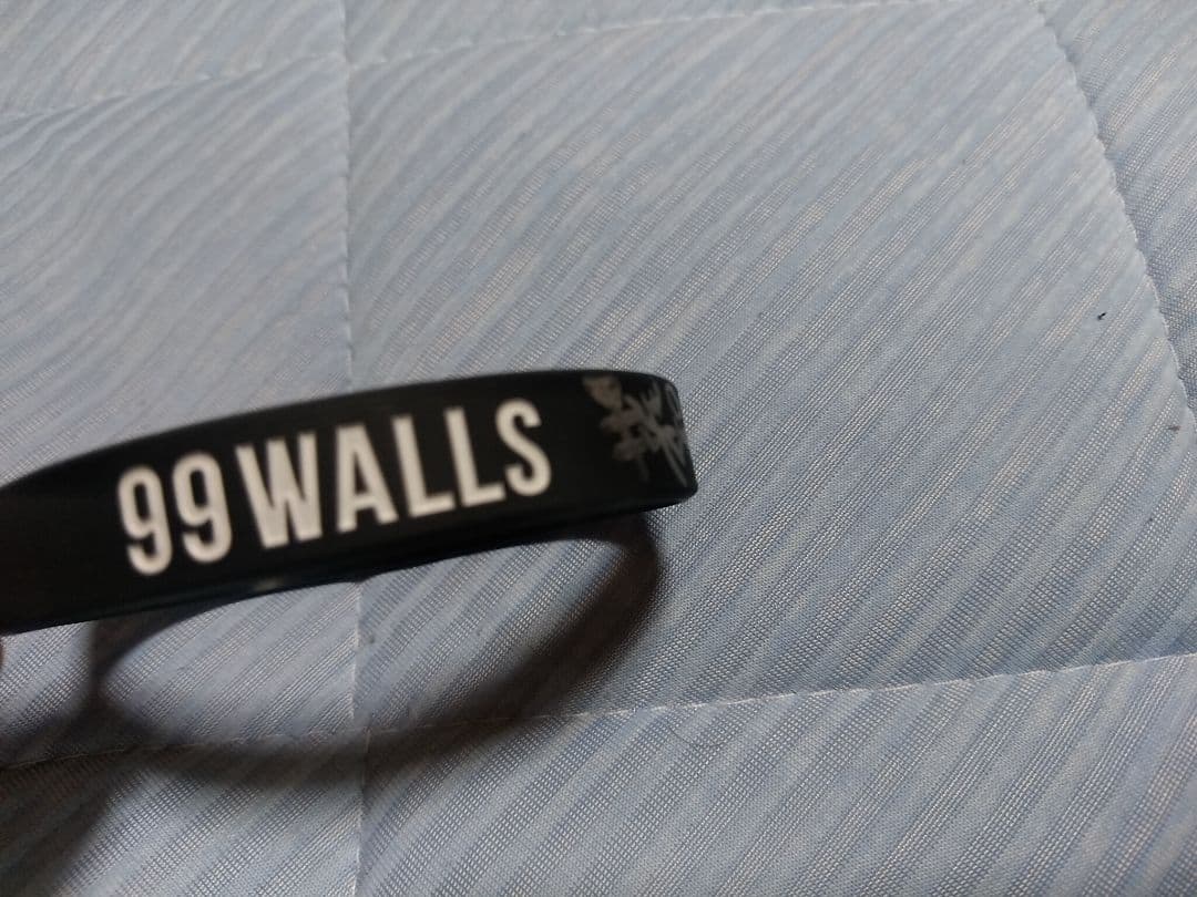 りゅうちぇる＆引退した比花知春(りゅうちぇる実姉)サイン入りリストバンド！