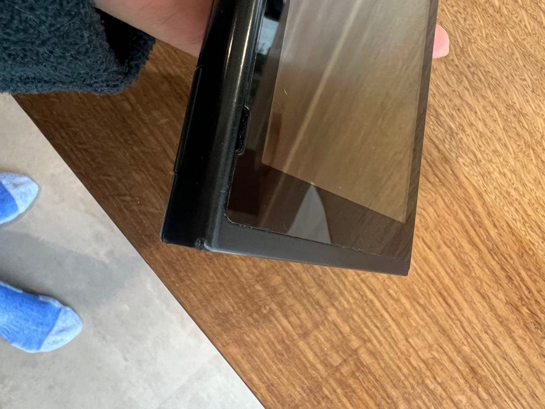 Switch本体とコントローラーのみ