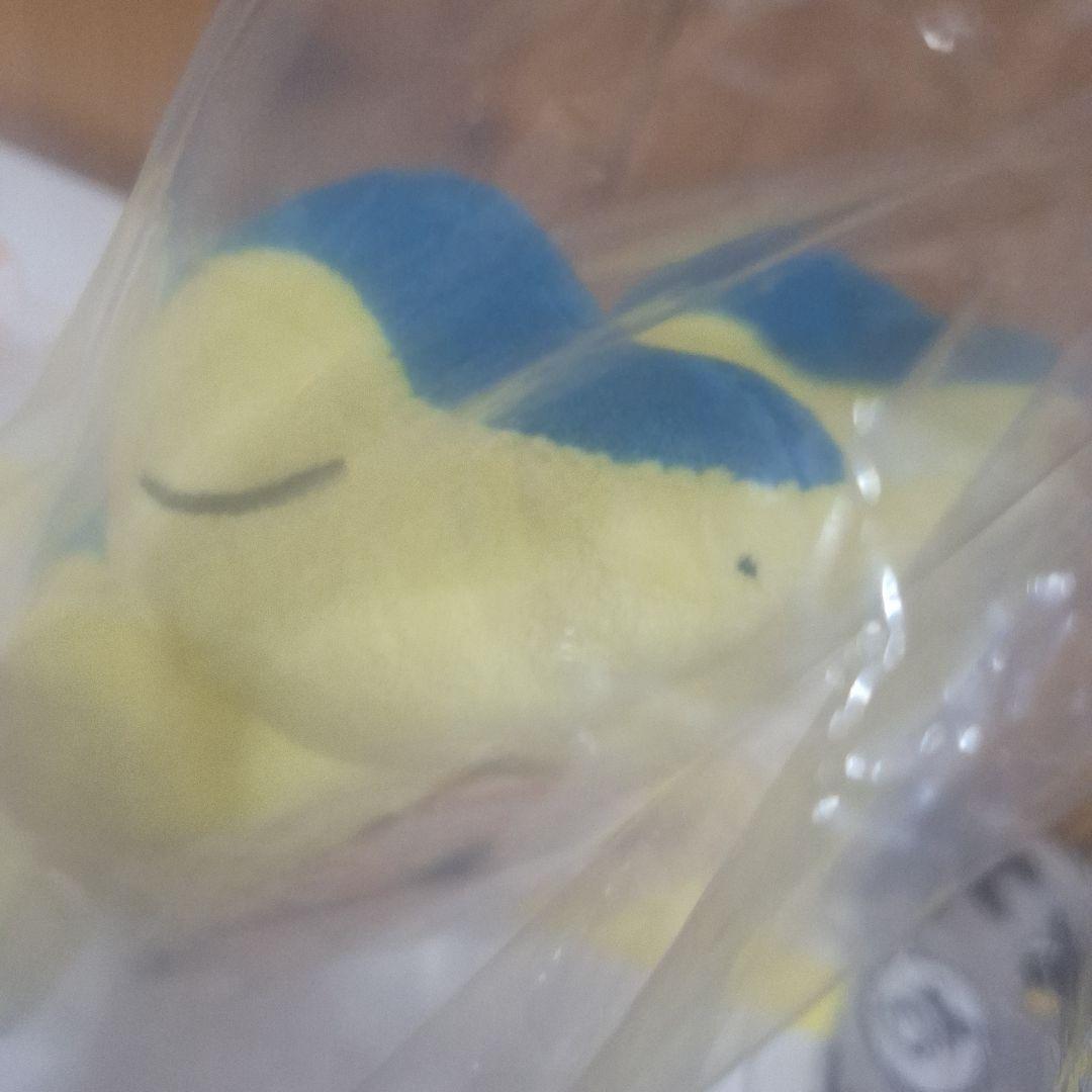 タグ付き　ポケモンセンター　くったり　ヒノアラシ　ぬいぐるみ　セット
