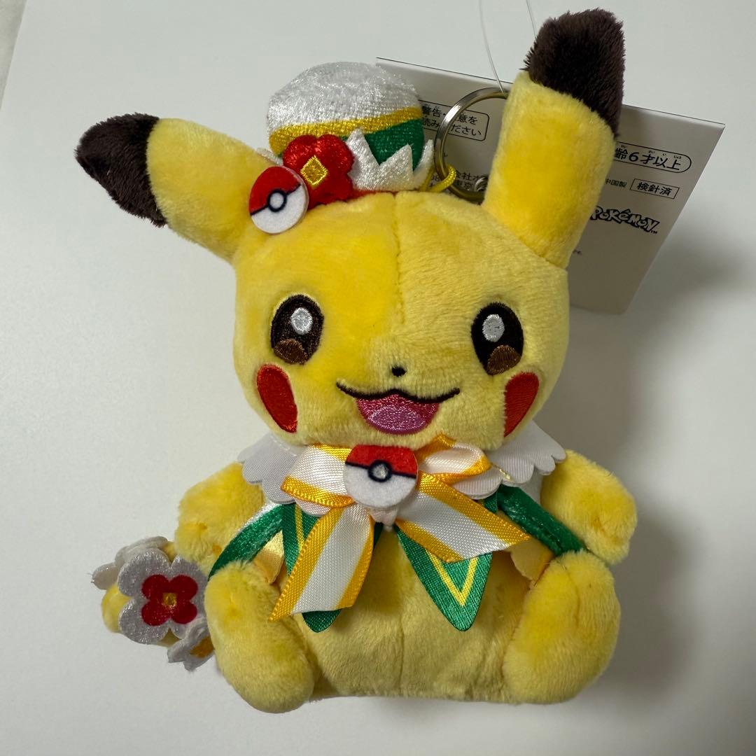 ポケパーク カントー ピカチュウ まとめ売り