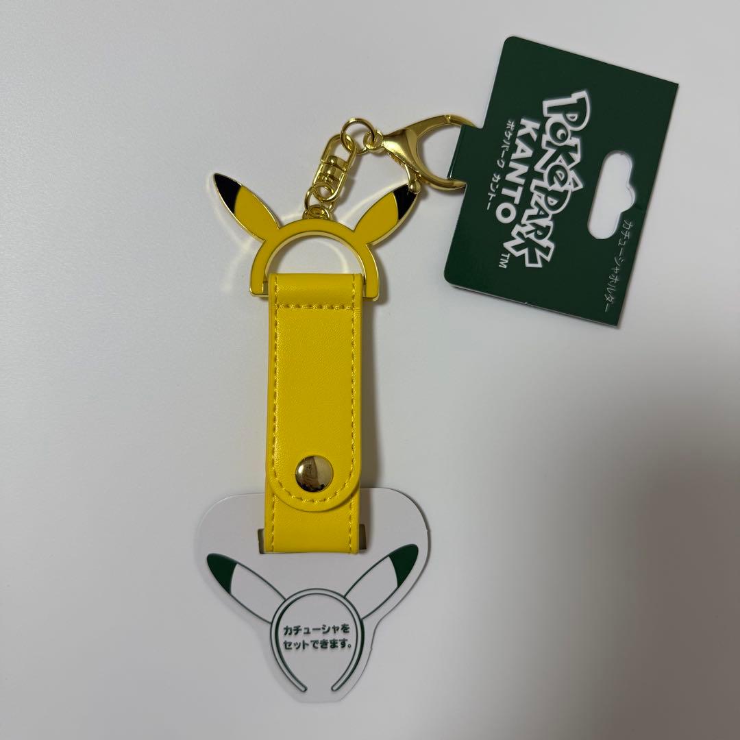 ポケパーク カントー ピカチュウ まとめ売り