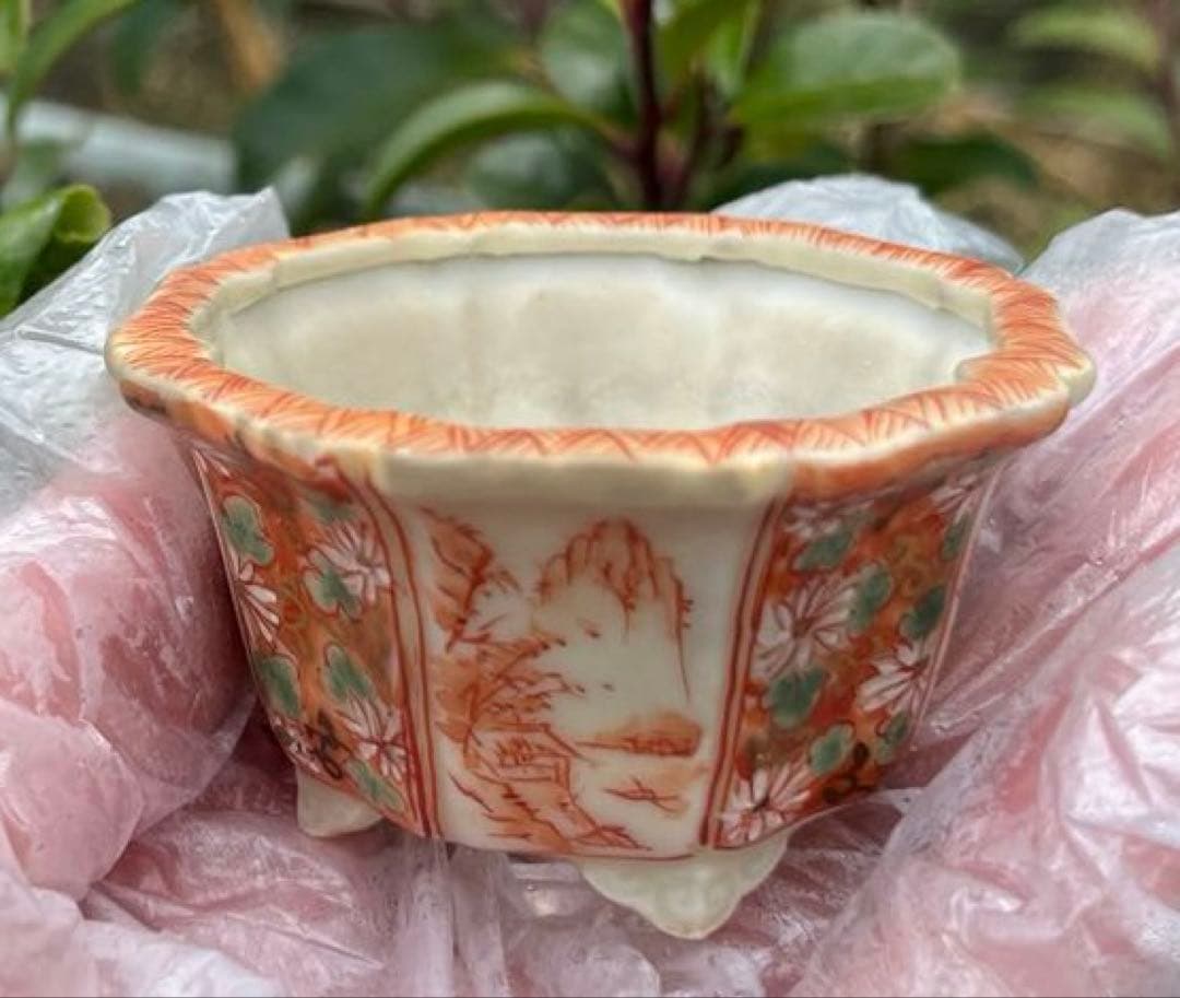 平安佑泉　盆栽鉢　ミニ盆栽　豆鉢