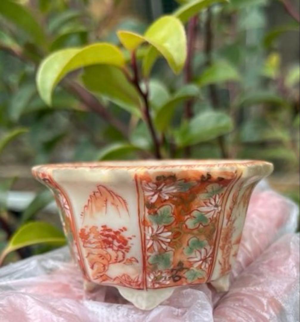 平安佑泉　盆栽鉢　ミニ盆栽　豆鉢