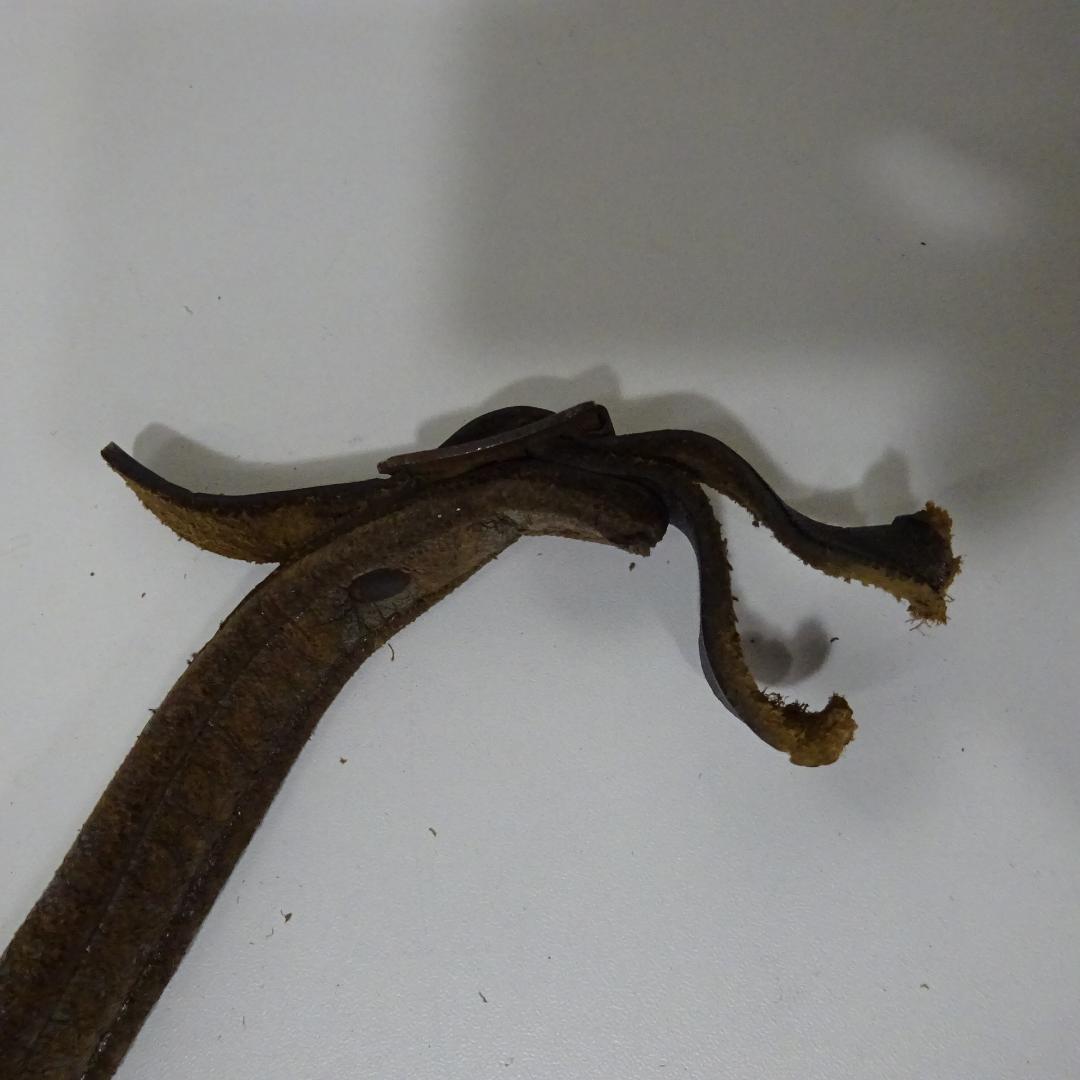 希少：【EXCELSIOR400】アコーディオン