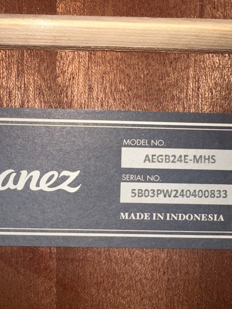 Ibanez AEGB24E-MHS (必ず商品の説明をご覧ください！)