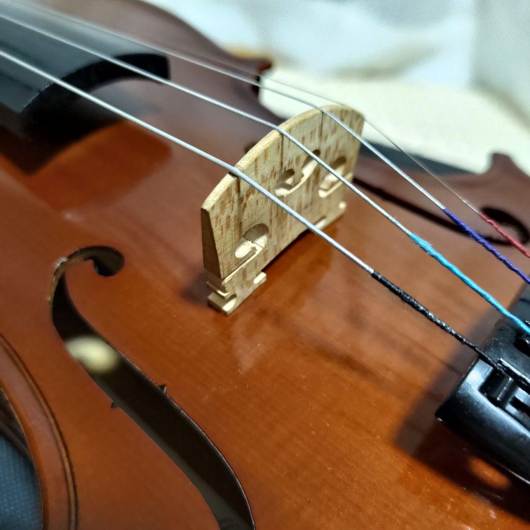 【美品】Allan Drexcell 3/4 No.AE