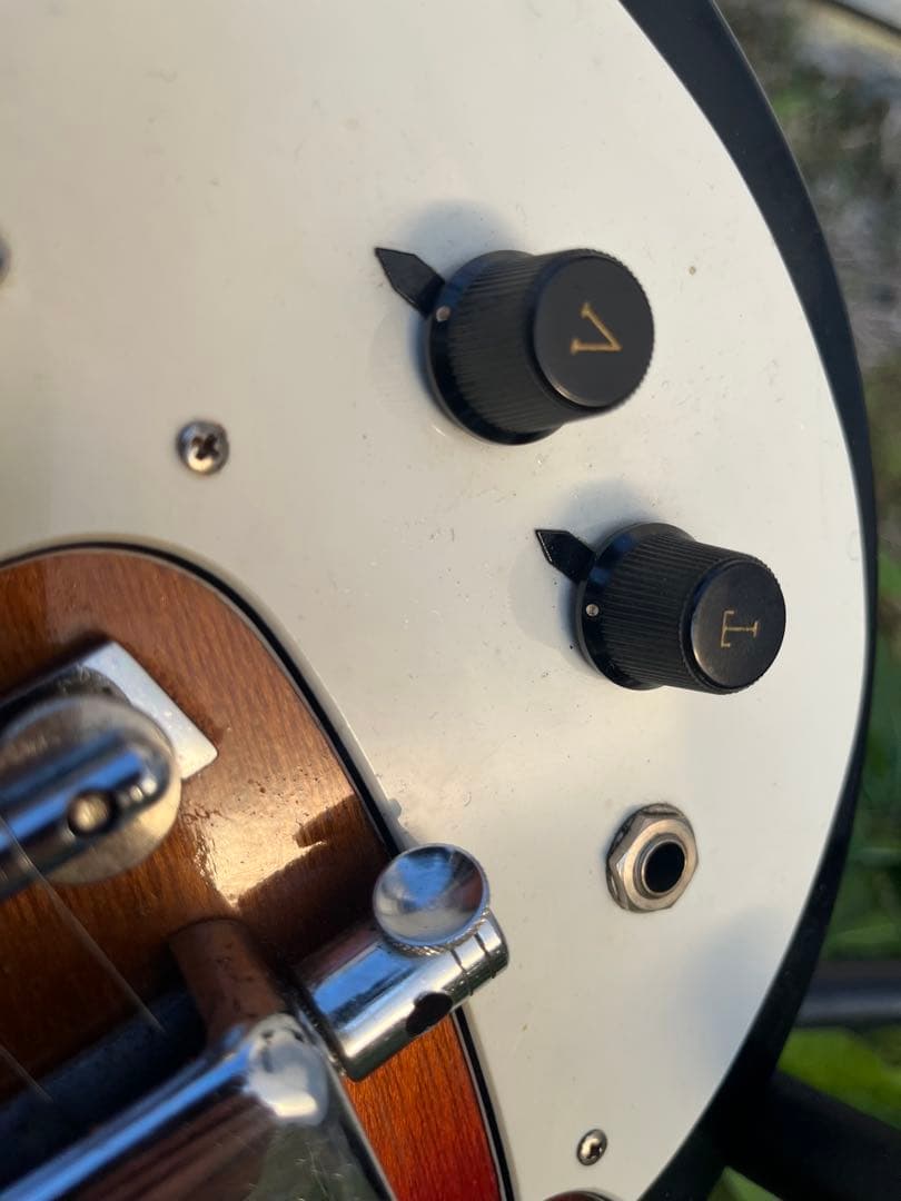 LAKE 日進工業 ビザール