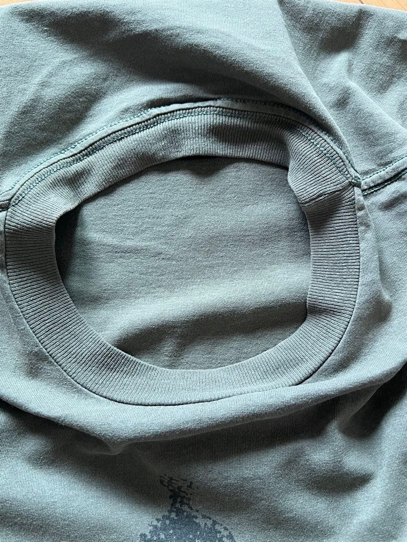 XLサイズ THE FLAMING LIPS Tシャツ GINATタグ