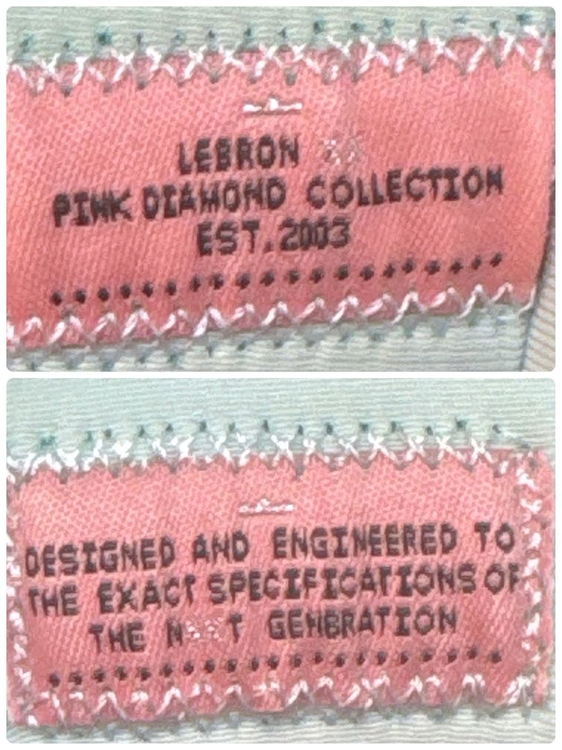 ナイキ レブロン20 タイムマシーン 26.5