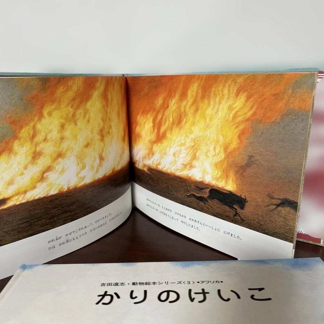 かりのけいこ、かんちがい 、はじめてのかり吉田遠志　動物絵本シリーズ アフリカ