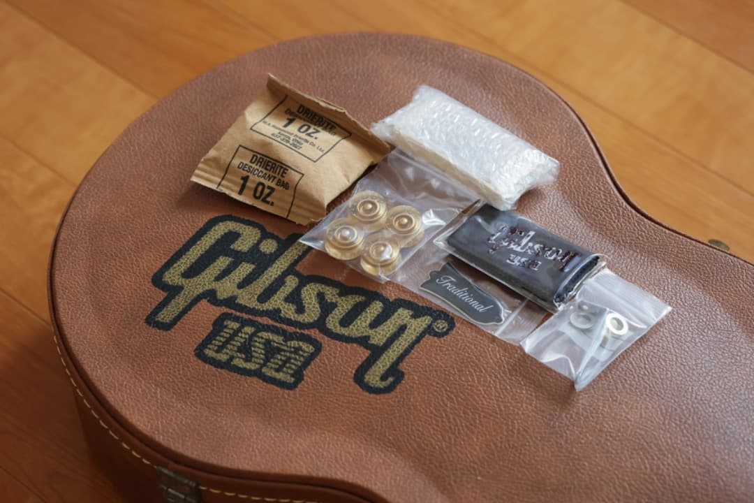 リベリオン　Gibson Les Paul Traditional