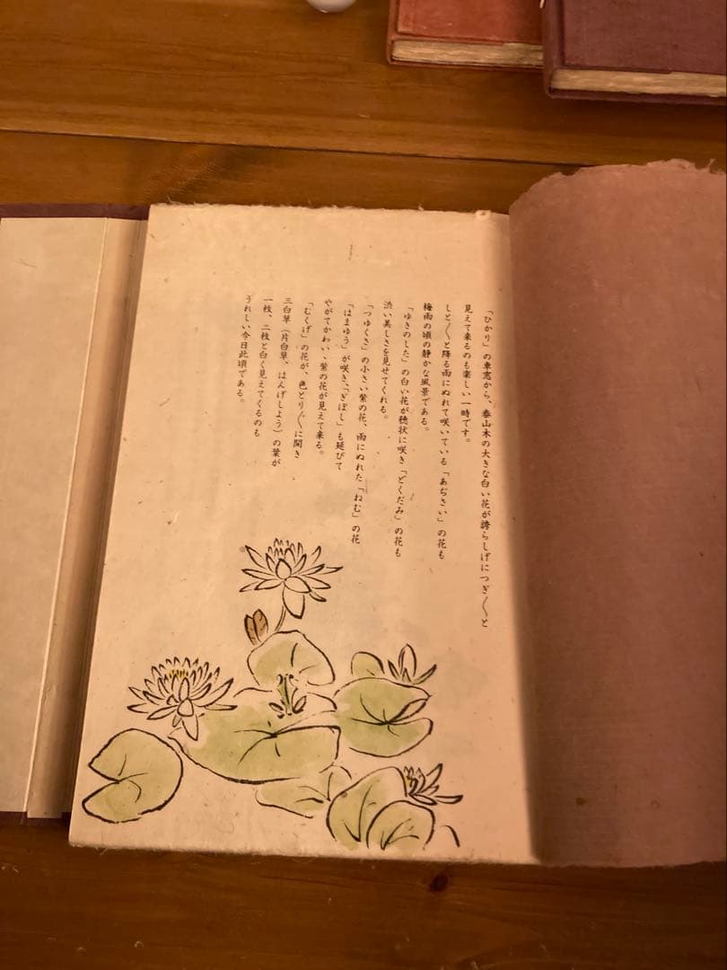 壺中天　天地人の人　生駒瓢泉　和紙クラブ　華道　限定非売品