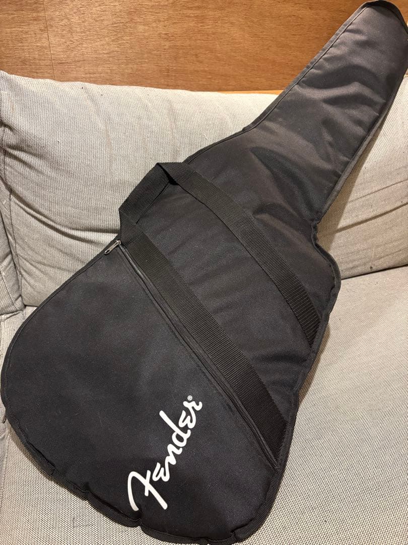 ギター Seymour Duncan DS-200R