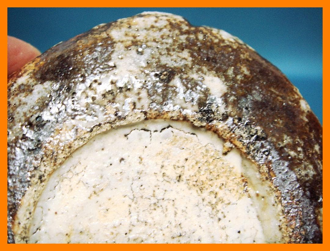 231『鼠志野 筒向付』　/骨董品 古美術 古道具 アンティーク